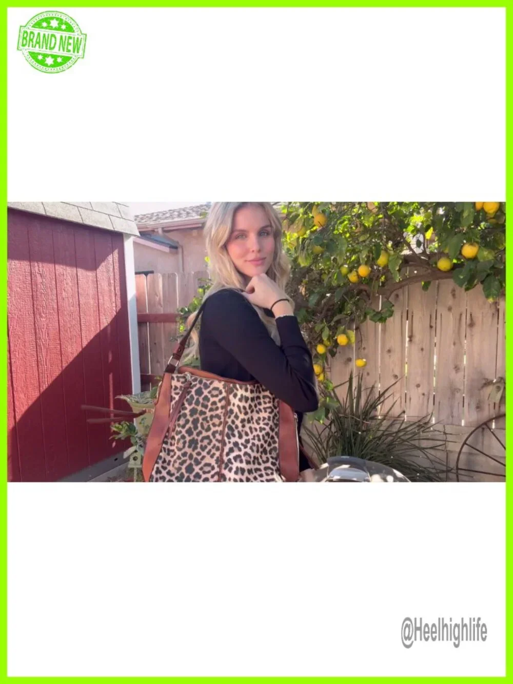 Large Hobo Tote with Detachable Crossbody Strap and Wallet Set